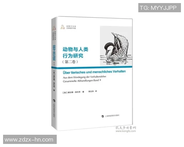 球迷行为学研究